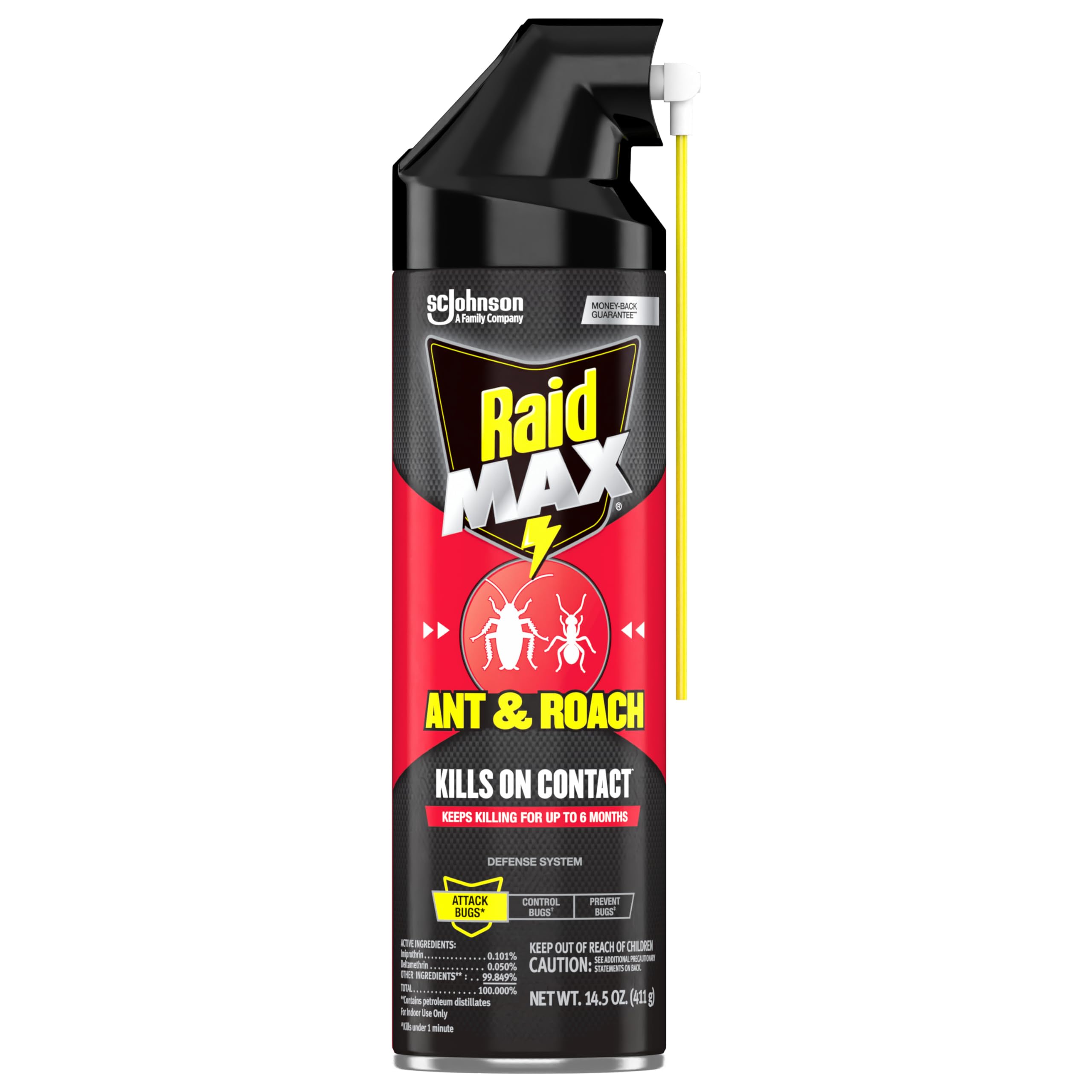 Raid Max ant and roach kill highlights fast action on contact