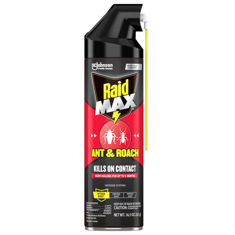 Raid Max ant and roach kill highlights fast action on contact