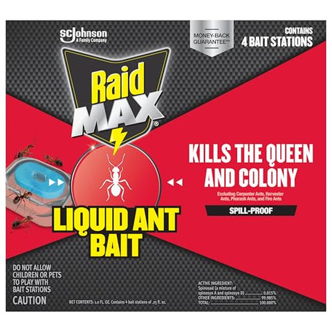 Raid Max bait station on counter for easy placement and monitoring.