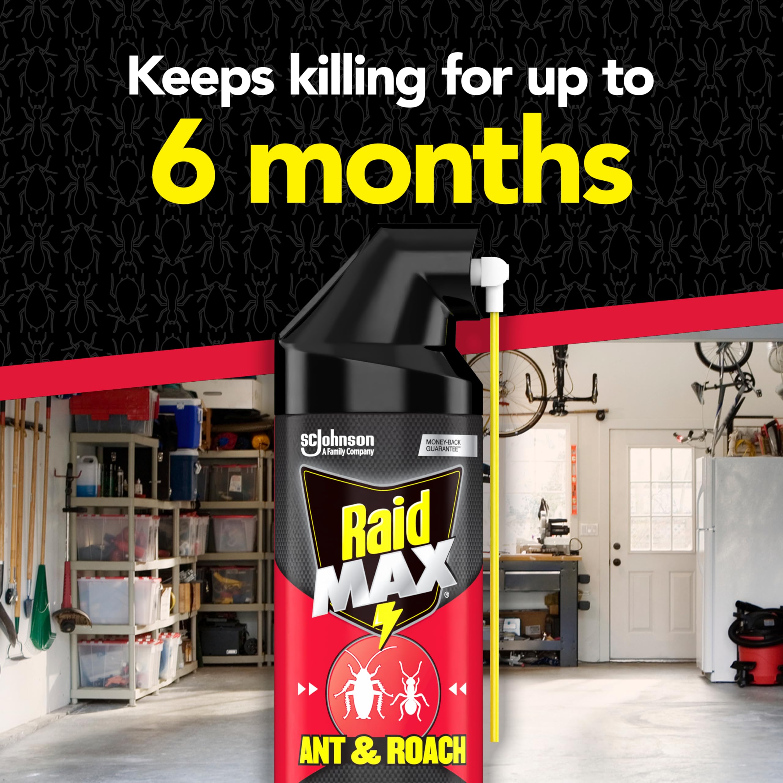 Raid Max baseboard spray targets edges where ants and roaches hide