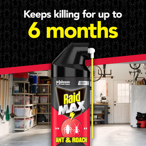 Raid Max baseboard spray targets edges where ants and roaches hide