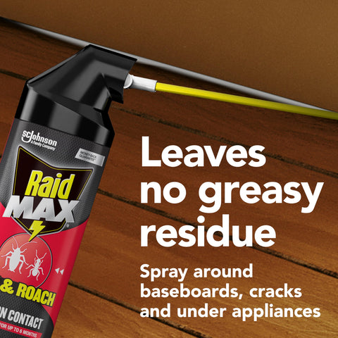 Raid Max cracks and crevices focus on entry points and problem areas