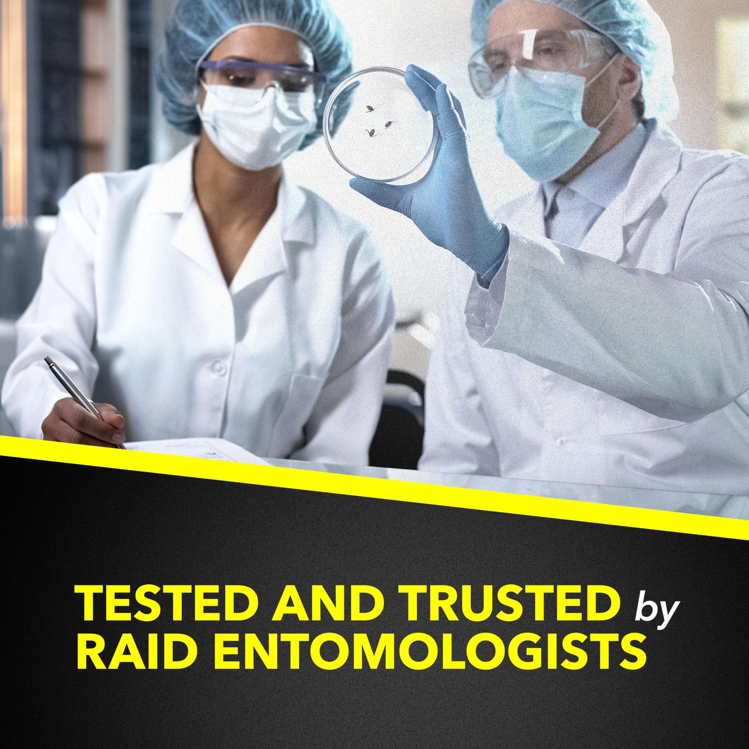 Raid Multi Insect Killer treats carpet beetles in living spaces.