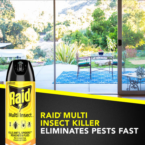Raid Multi Insect Killer addresses wasps and mosquitoes around entryways.