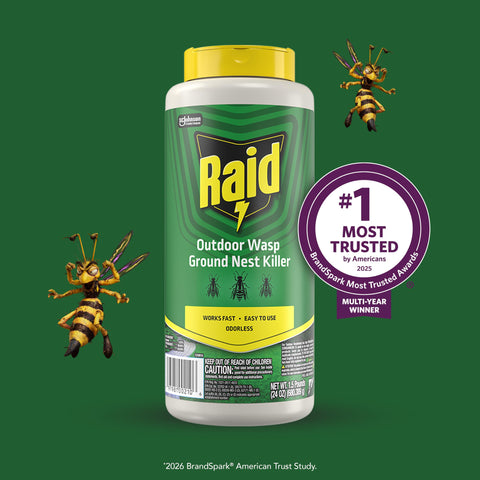 Raid nest killer applied around shrubs and flowering plants for protection.