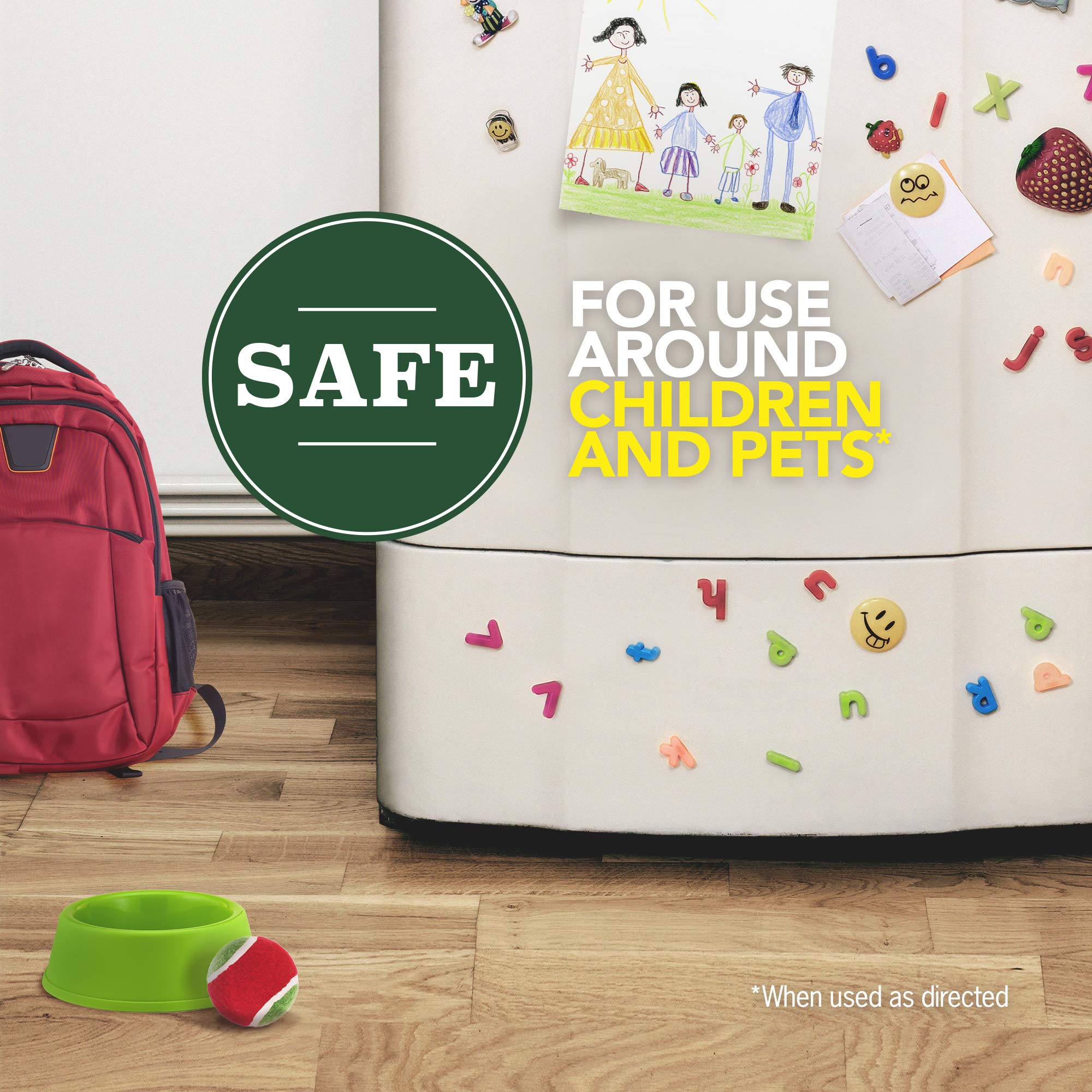 Raid safety guidance image shows safe use around kids and pets.