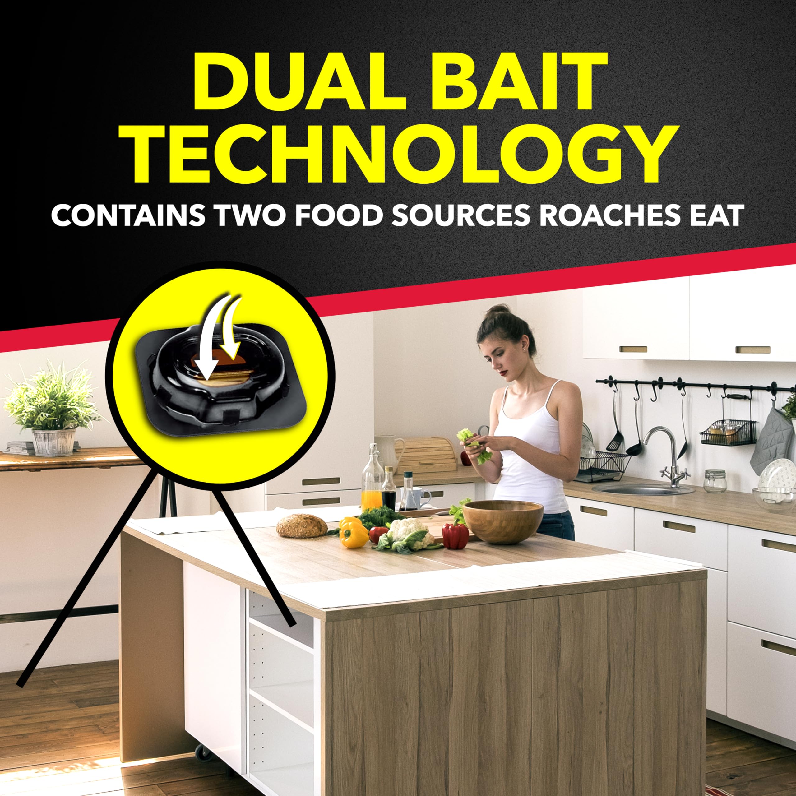 Raid kit for severe indoor roach problems.
