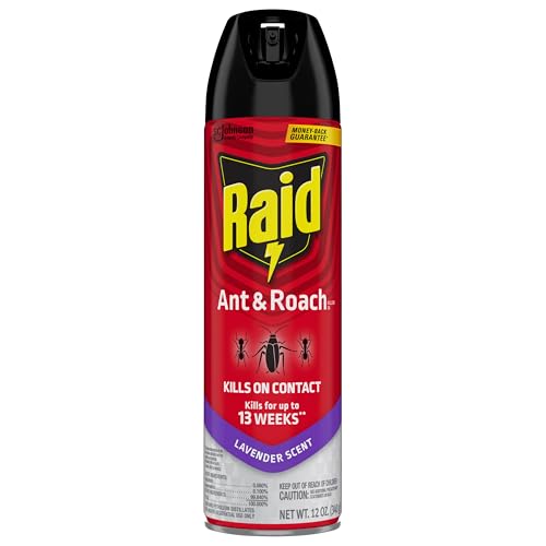 Close-up of the Raid spray nozzle for precise application.