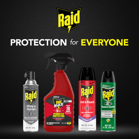 Raid Wasp & Hornet Killer non-conducting design helps near electrical equipment.