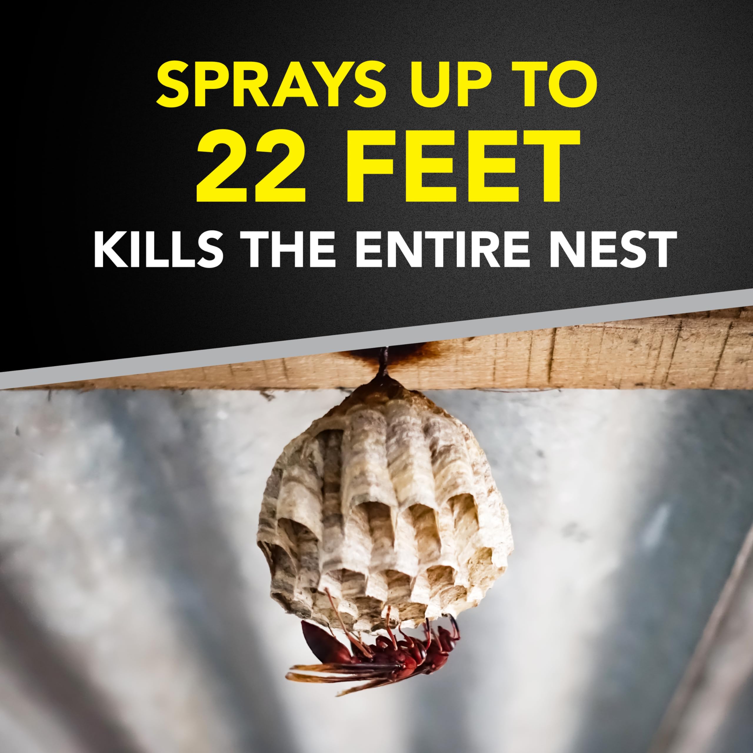 Raid Wasp & Hornet Killer 14-ounce can ideal for home use.