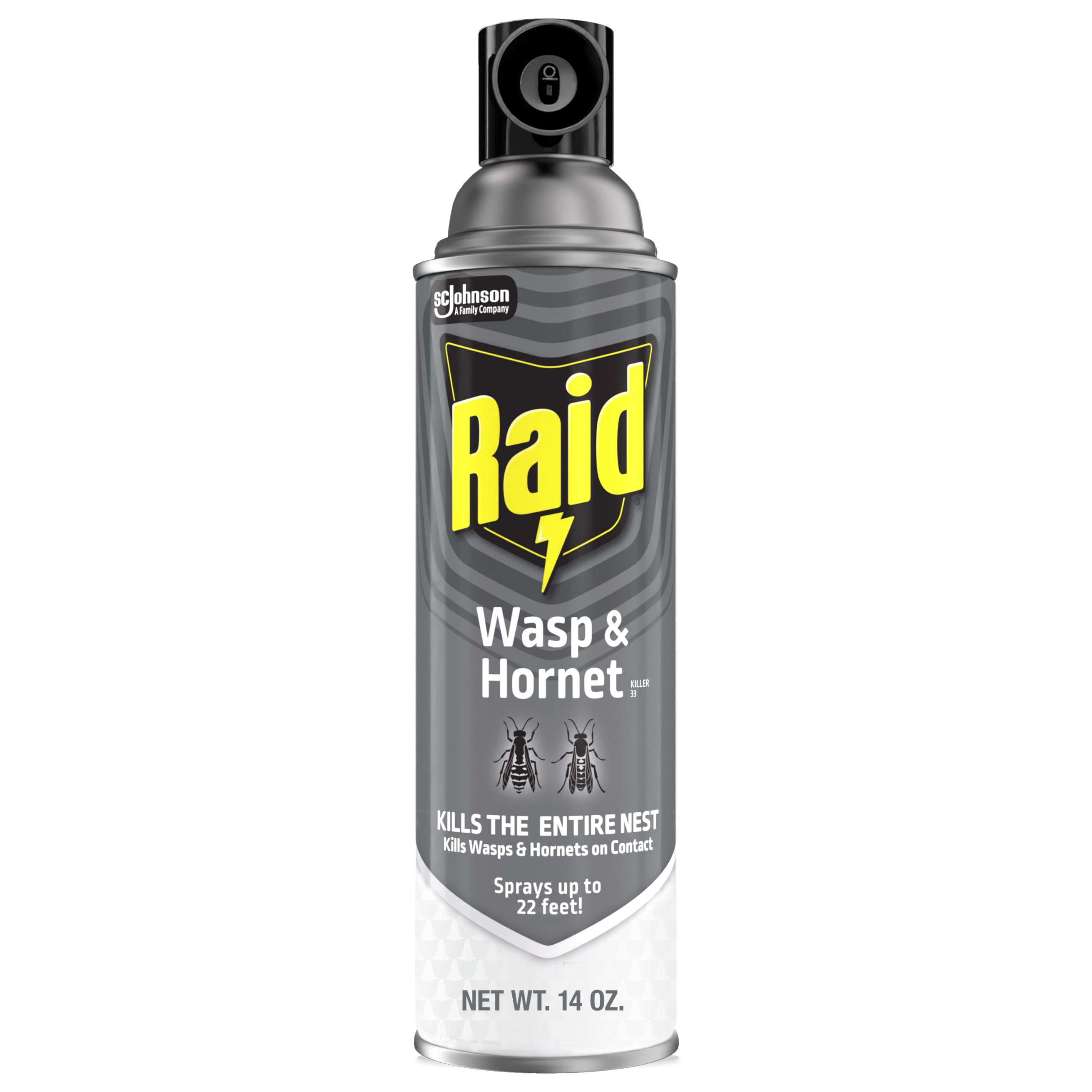 Raid Wasp & Hornet Killer spray 22-foot reach for safe outdoor nest elimination.
