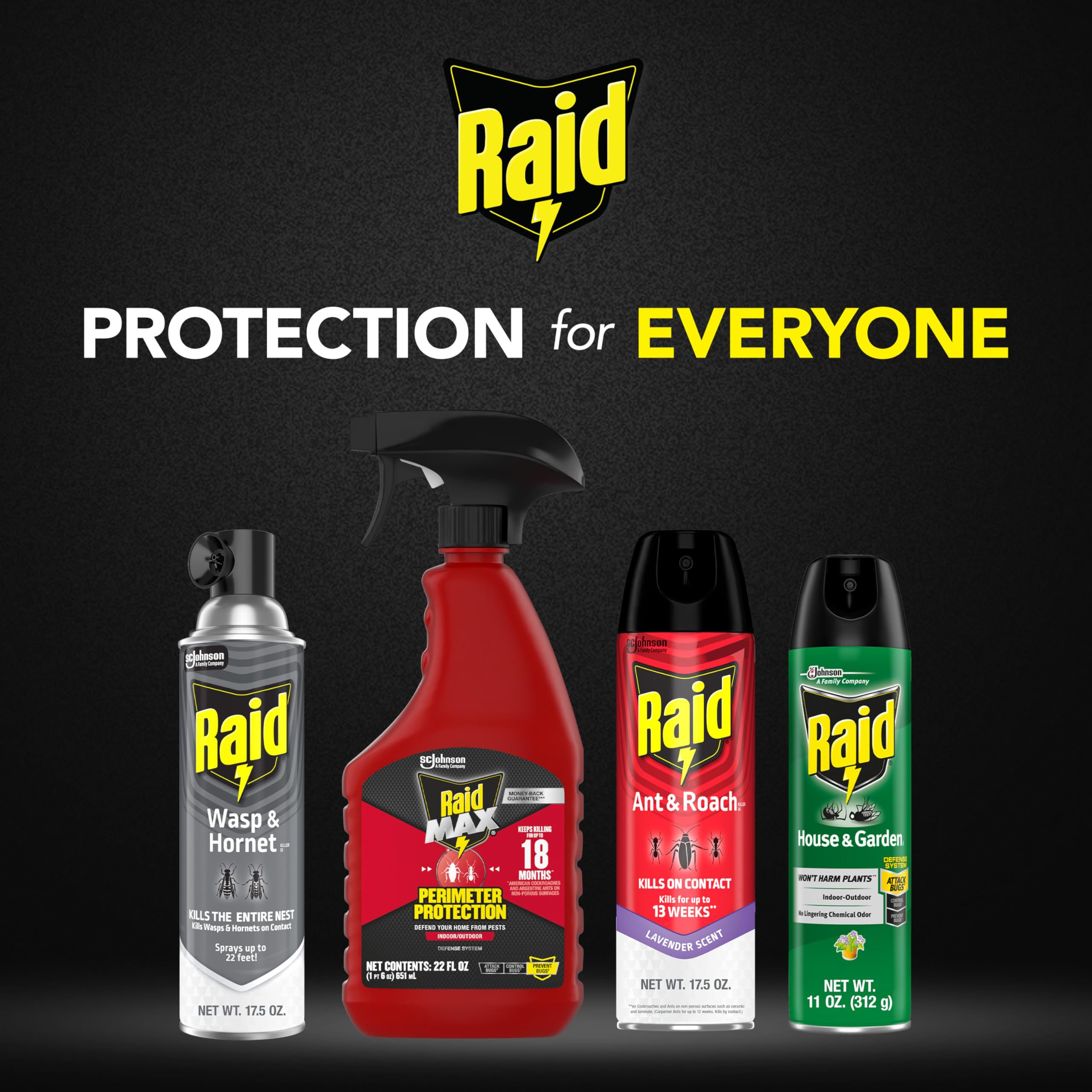 Raid Wasp & Hornet Killer Spray quick application guide for beginners.