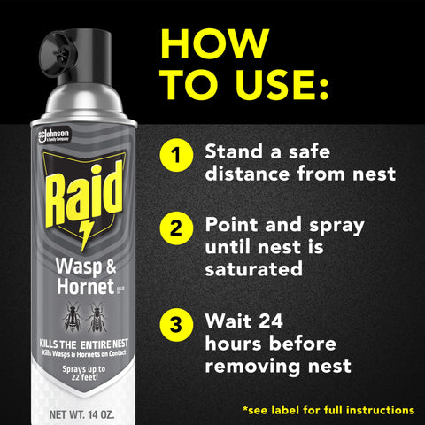 Raid Wasp & Hornet Killer designed for outdoor use on decks and patios.