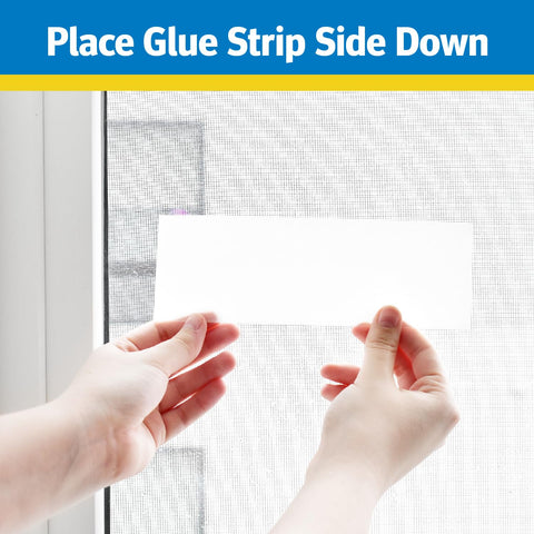 Raid Window Fly Trap glue detail close-up
