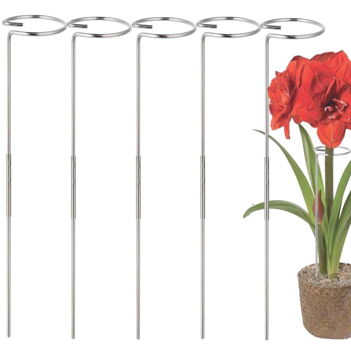 RAIKEDR 30 inch plant stake assembly supports tall stems for stable growth