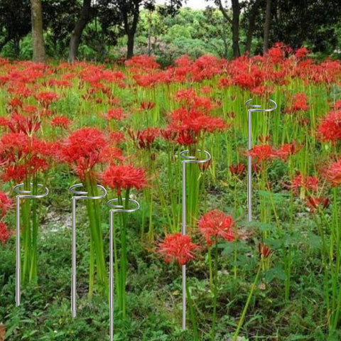 RAIKEDR durable plant stake features weather resistance for long-term use