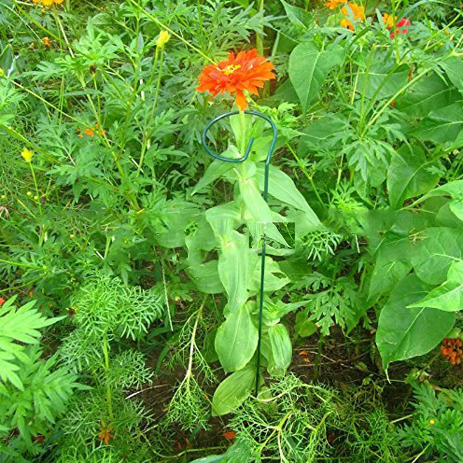RAIKEDR green-coated-steel-stake blends with plants while supporting growth.