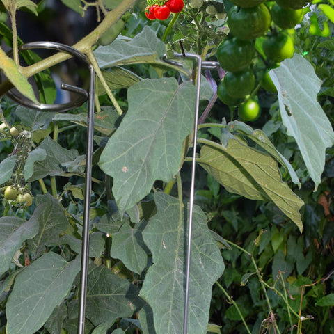 RAIKEDR outdoor garden stakes set simplifies plant protection across beds