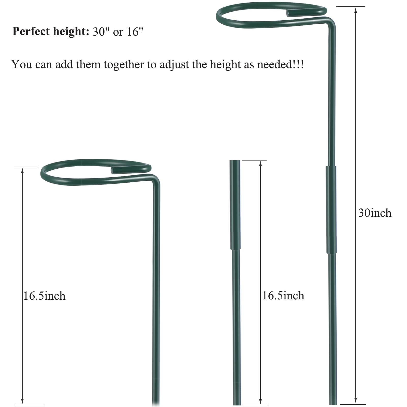 RAIKEDR plant cage rings show hoop support for single stems