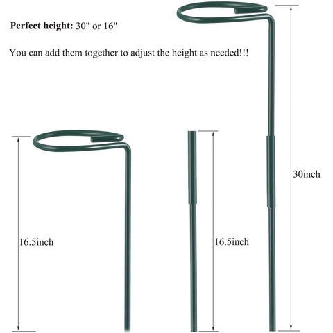 RAIKEDR plant cage rings show hoop support for single stems