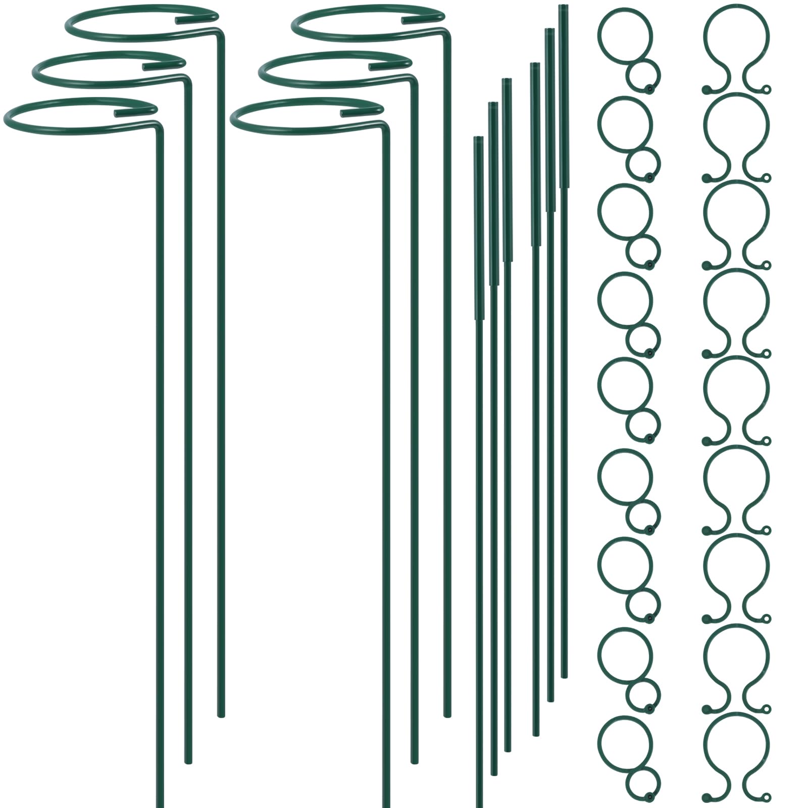 RAIKEDR plant stake 12-inch hoop supports upright stems for flowers