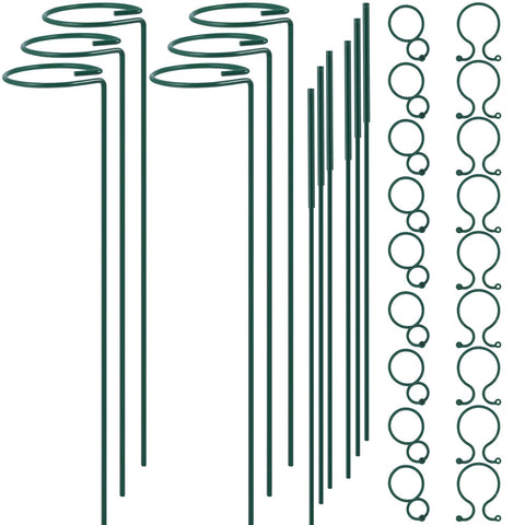 RAIKEDR plant stake 12-inch hoop supports upright stems for flowers