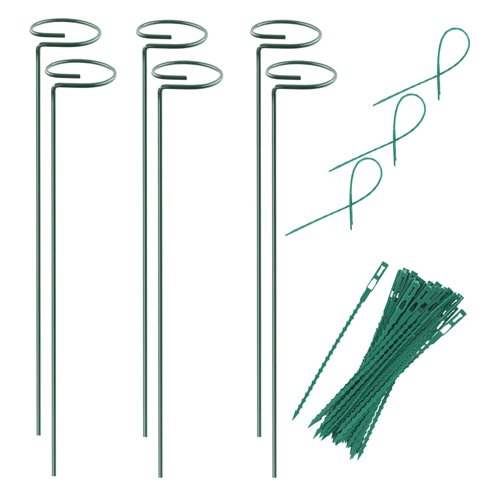 RAIKEDR plant stake support 15.9 inch keeps delicate stems upright.