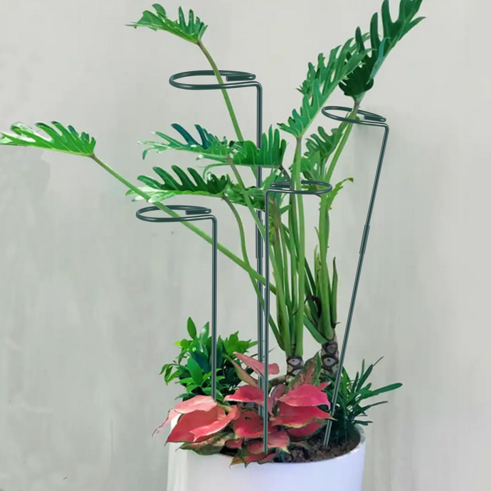 RAIKEDR twist-ties included for secure, gentle plant tying
