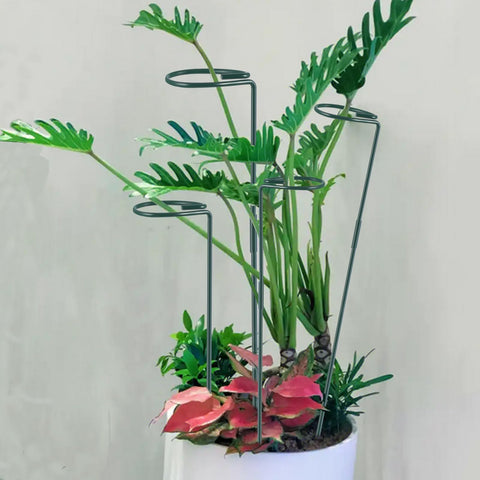 RAIKEDR twist-ties included for secure, gentle plant tying