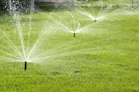 Rain Bird 1800-series body supports reliable operation in harsh landscapes.