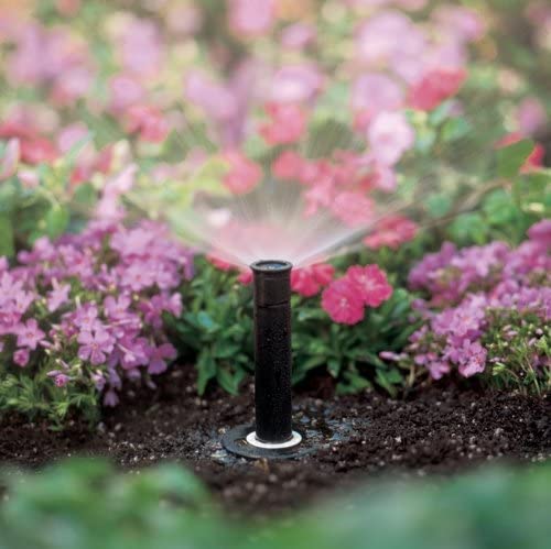Rain Bird 1804HEVNPR adjustable 0–360 pattern enables tailored watering.