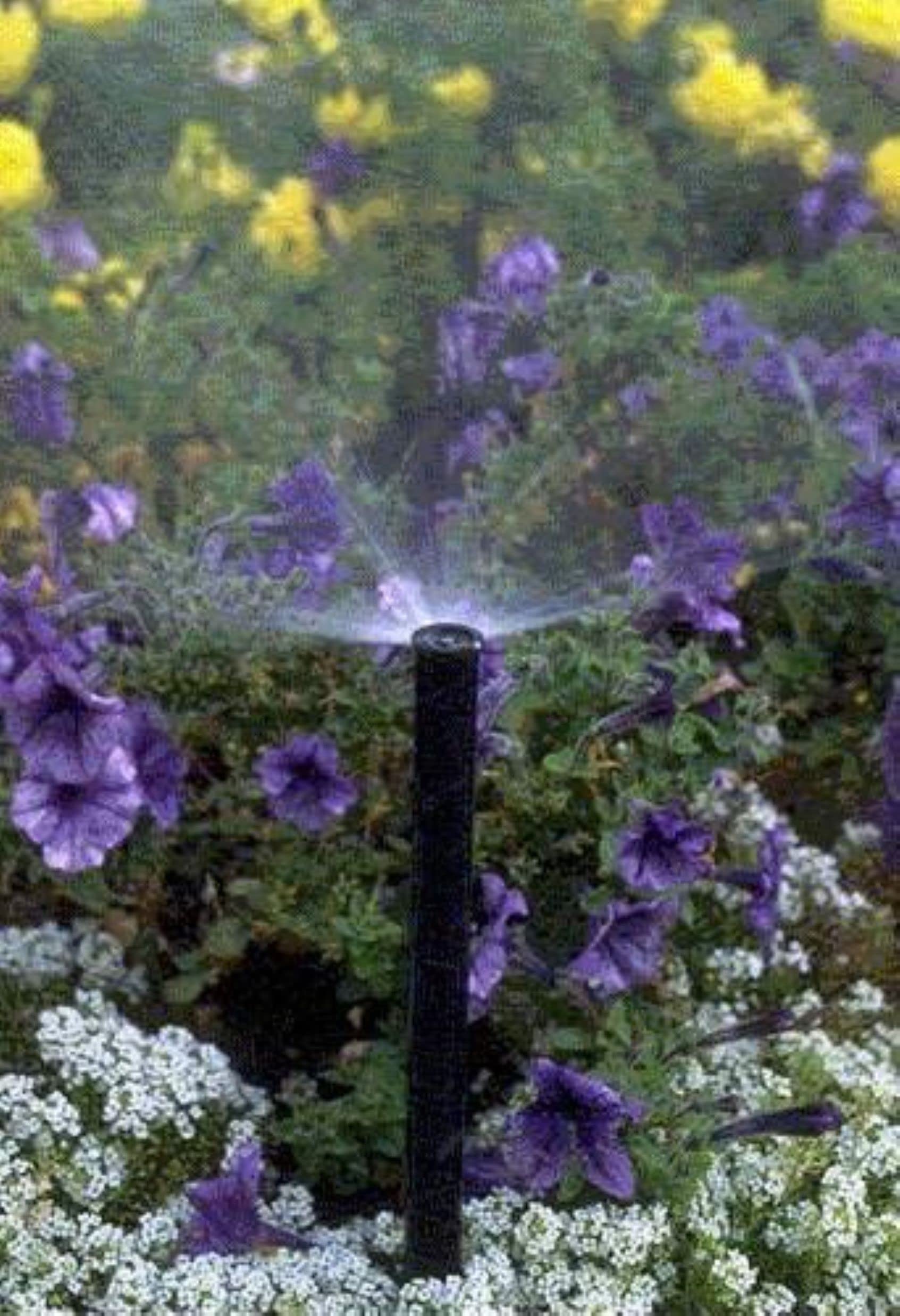 Rain Bird 1812APPRS built-in regulator delivering stable 30 psi pressure