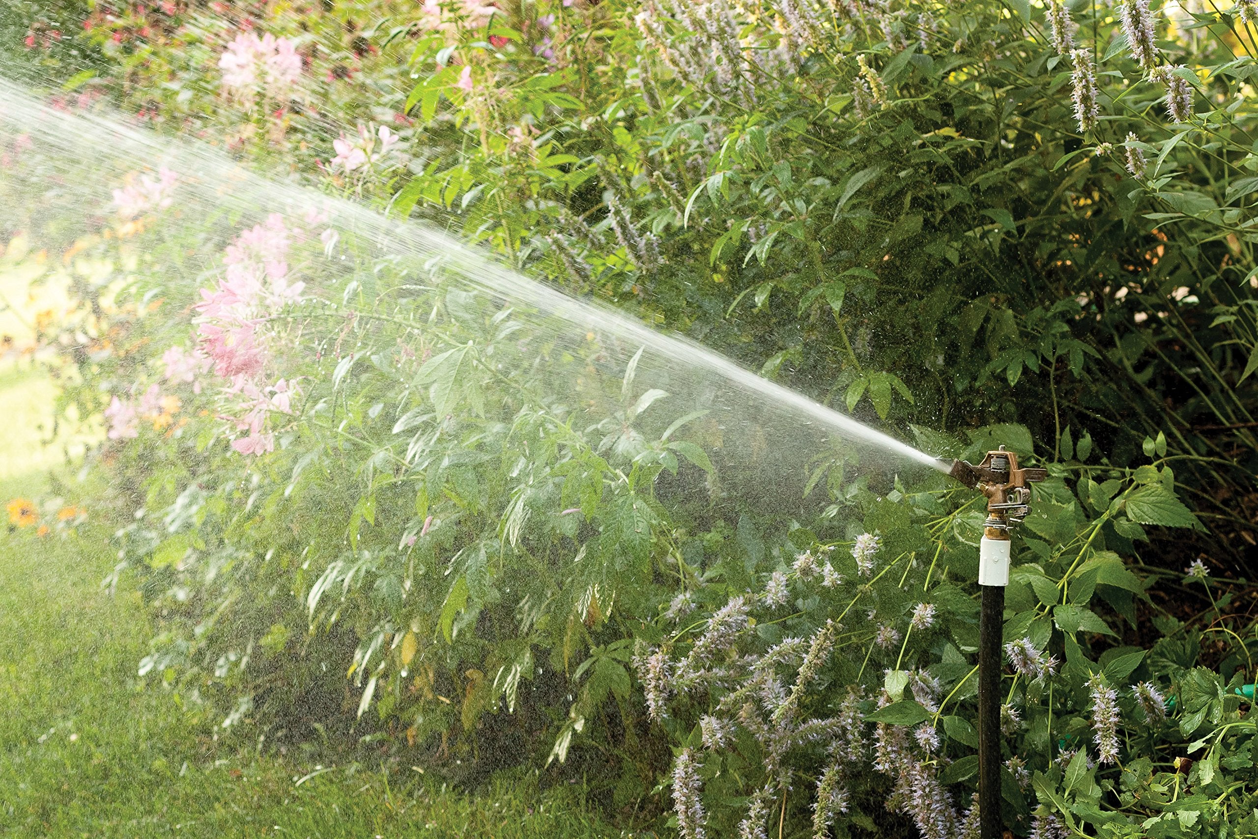 Rain Bird 25PJDAC adjustable spray range image shows 20–41 ft reach for flexible layouts.
