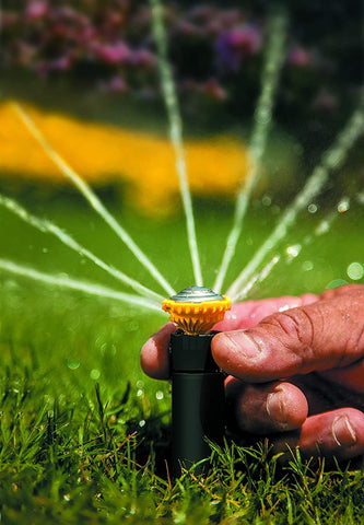 Rain Bird 22SAPROPR 30 psi regulator maintains consistent watering pressure.