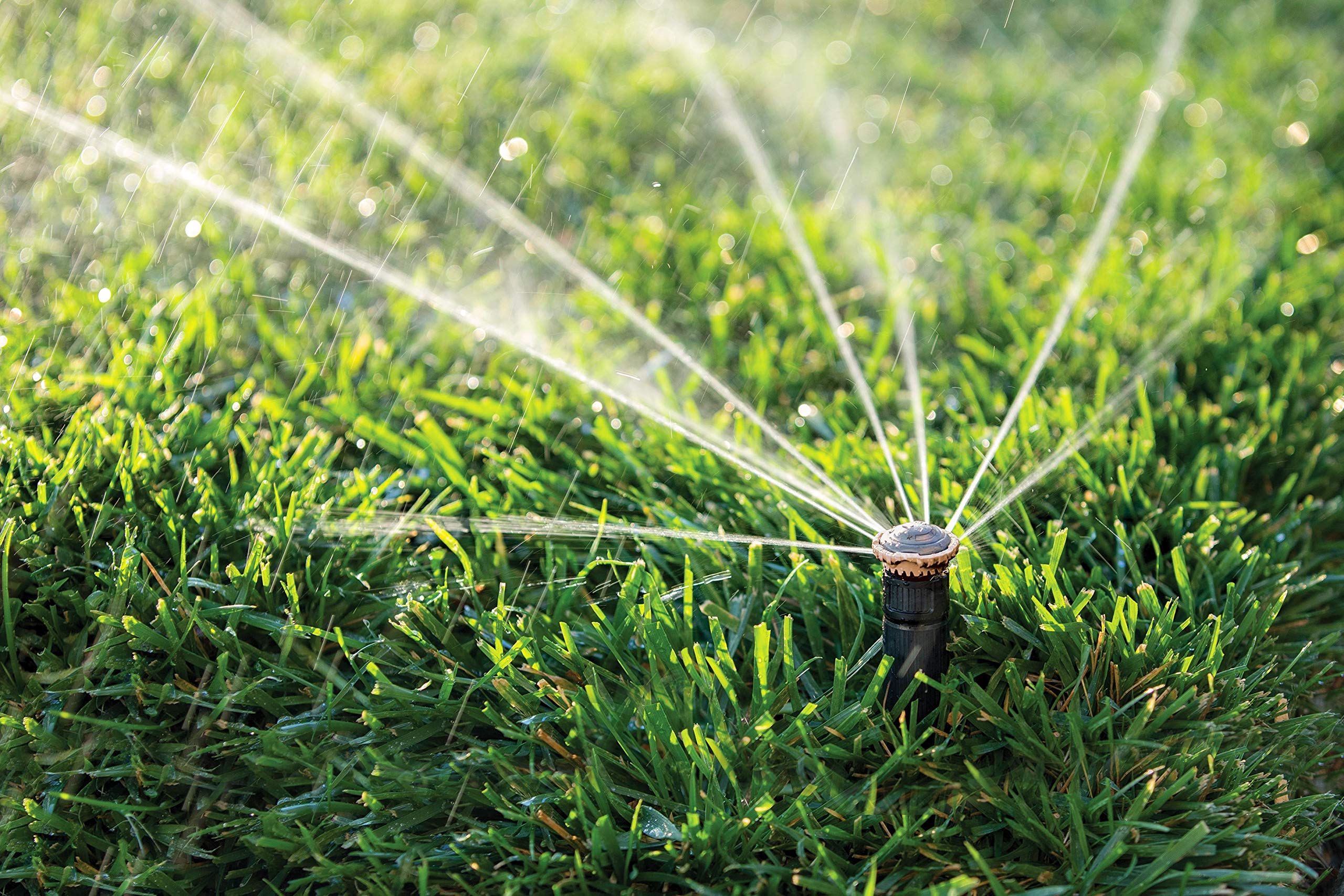 Rain Bird 22SAPROPR 4 inch pop-up height ideal for low clearance areas.