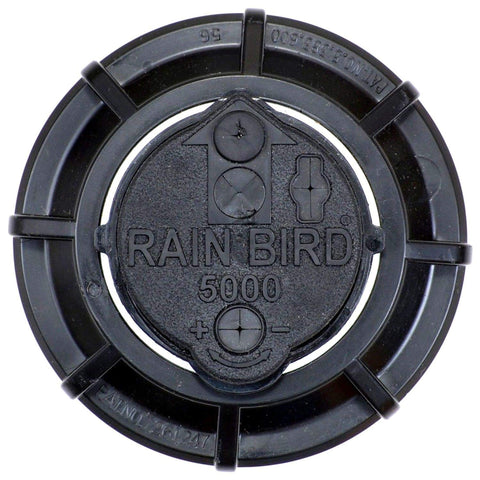 Rain Bird 5000-series pop-up sprinkler installed in a lush lawn.