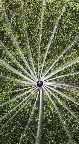 Rain Bird 8SAPROPR wind-resistant spray heads improve coverage in windy conditions.
