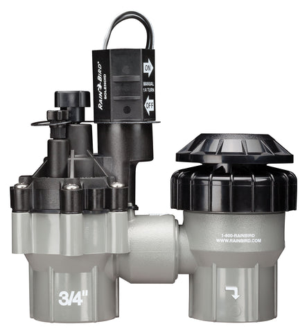 Rain Bird DASASVF075 valve exterior, rugged above-ground housing for durable irrigation.
