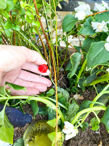 Rain Bird 30-pack bag shown for bulk drip irrigation installation