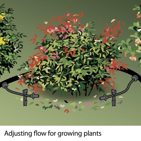 Rain Bird emitter 1.0 GPH supports moderate flow for mid-sized containers.