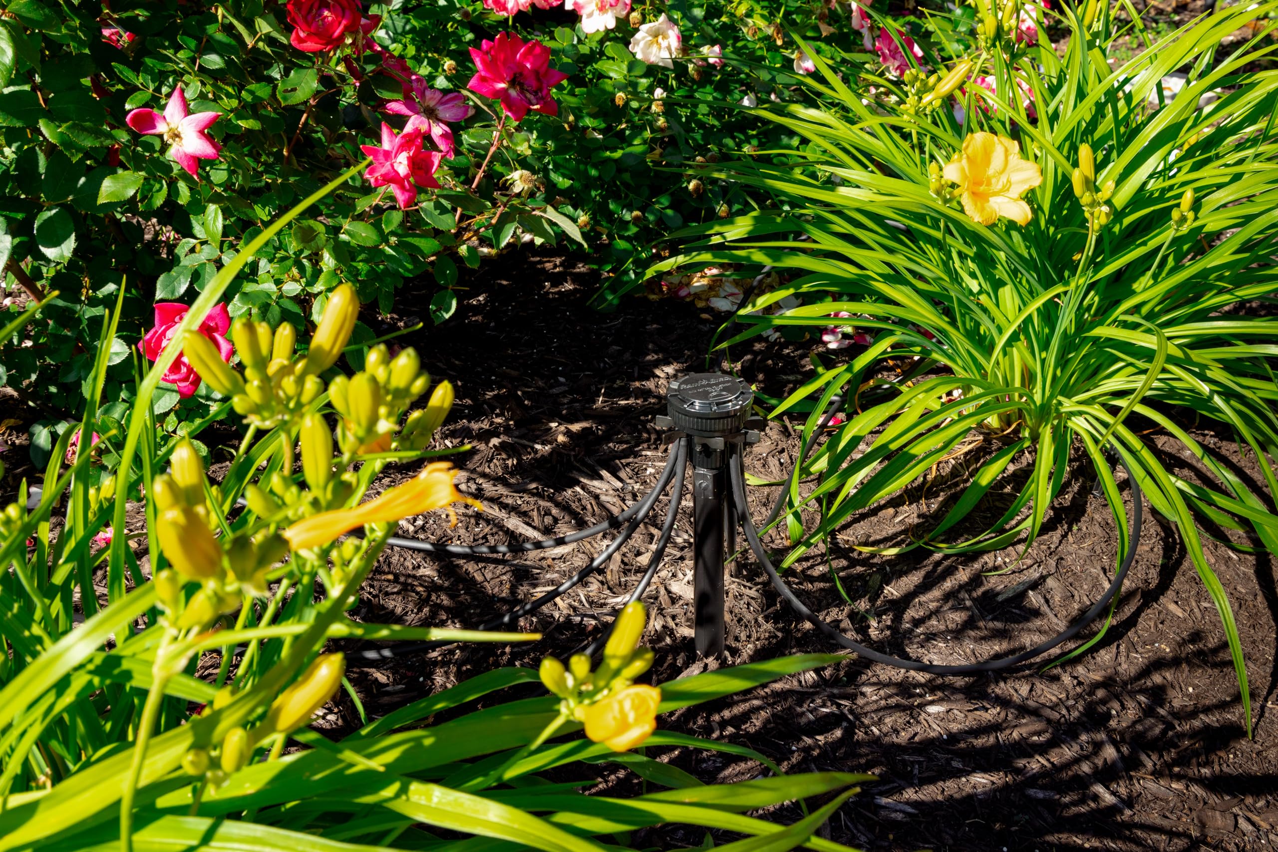 Rain Bird durable irrigation components in active use in the landscape.