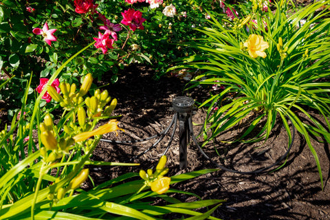 Rain Bird durable irrigation components in active use in the landscape.