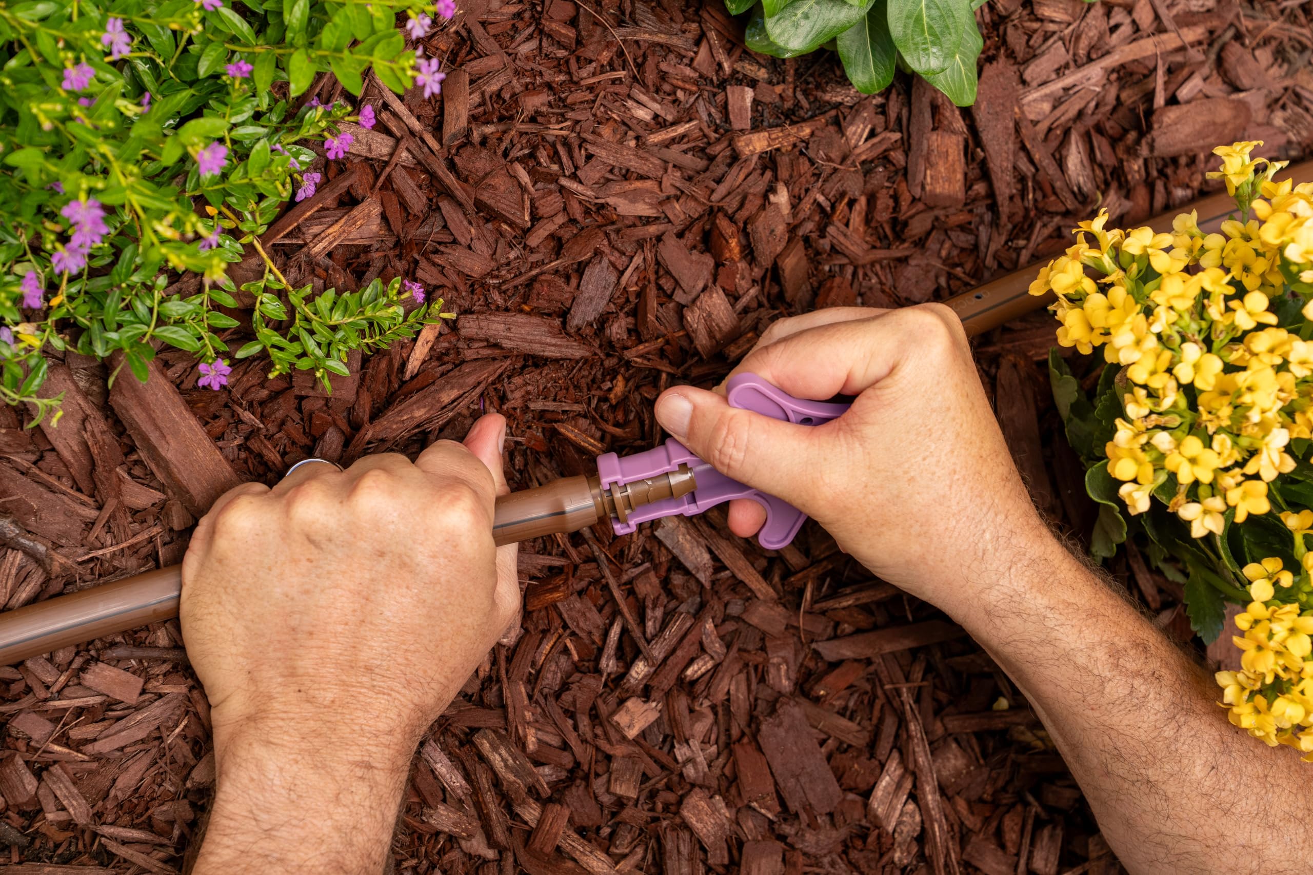 Rain Bird FT/50S purple tool stands out in grass for quick finding during installs.