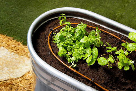 Rain Bird GardenKit 25-foot distribution tubing for flexible routing