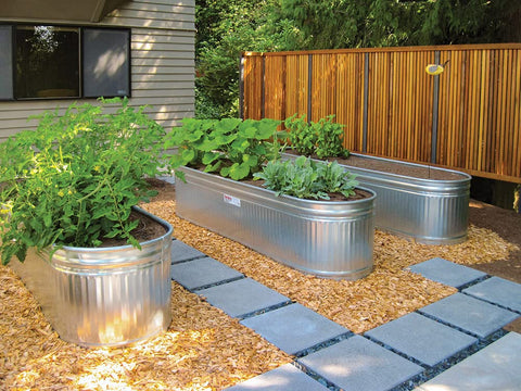 Rain Bird GardenKit tubing buried or left on soil surface options