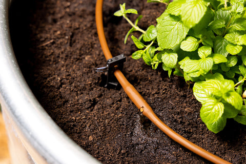 Rain Bird GardenKit tubing stakes securing lines in soil