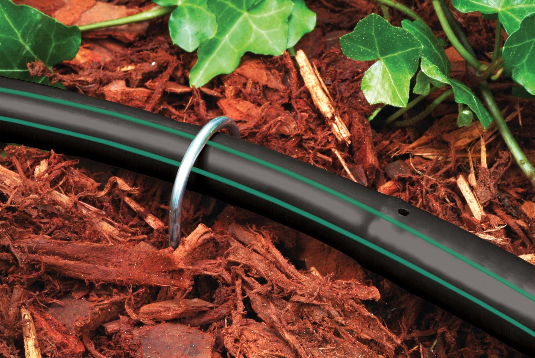 Rain Bird GS50/10PS stake stabilizes tubing at the root zone in gardens.