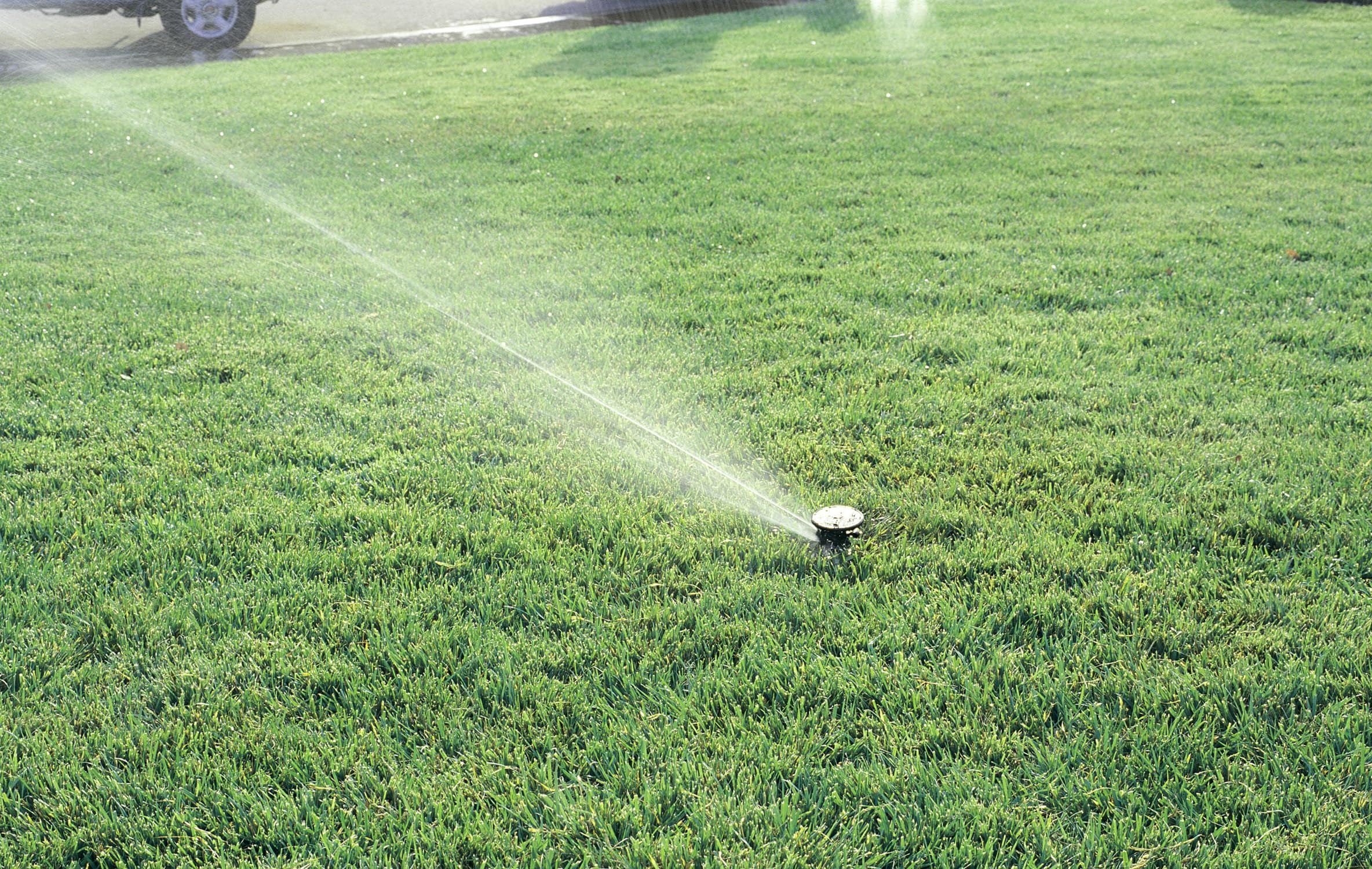 Rain Bird LG-3 diffuser screw creates smaller droplets for uniform watering.