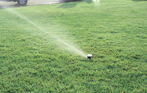 Rain Bird LG-3 diffuser screw creates smaller droplets for uniform watering.