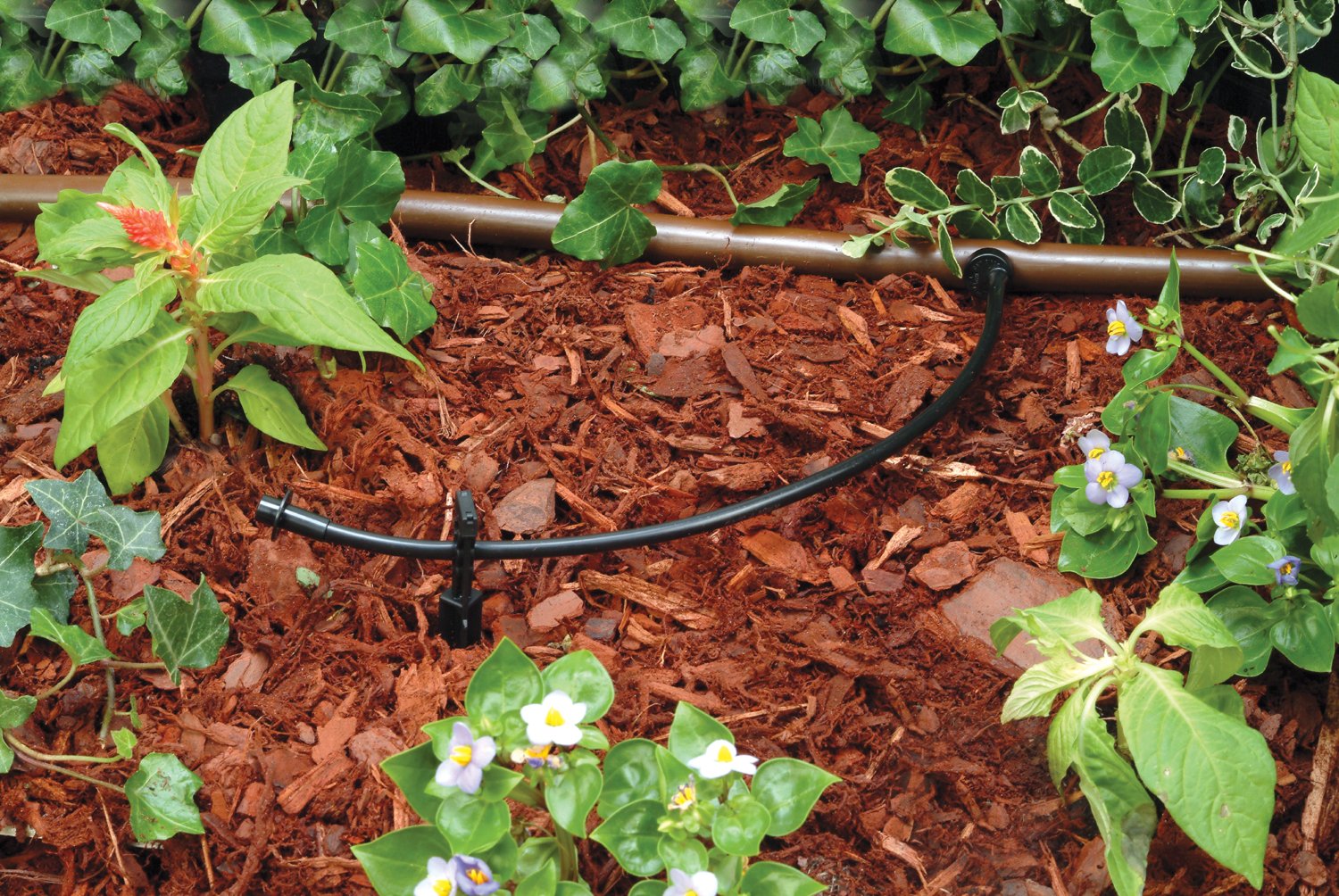 Rain Bird LNDDRIPKIT installation tool speeds emitter setup and removal.